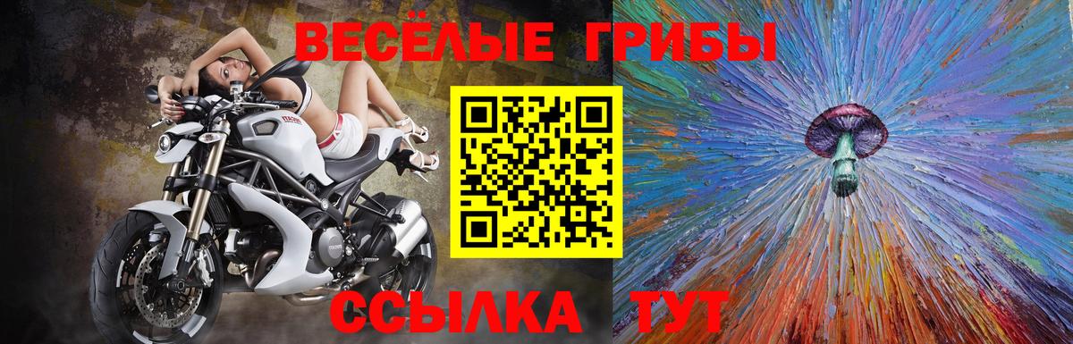 Унеча  Псилоцибиновые грибы Psilocybe  Вход с VPN  Псилоцибиновые грибы Magic Shrooms 